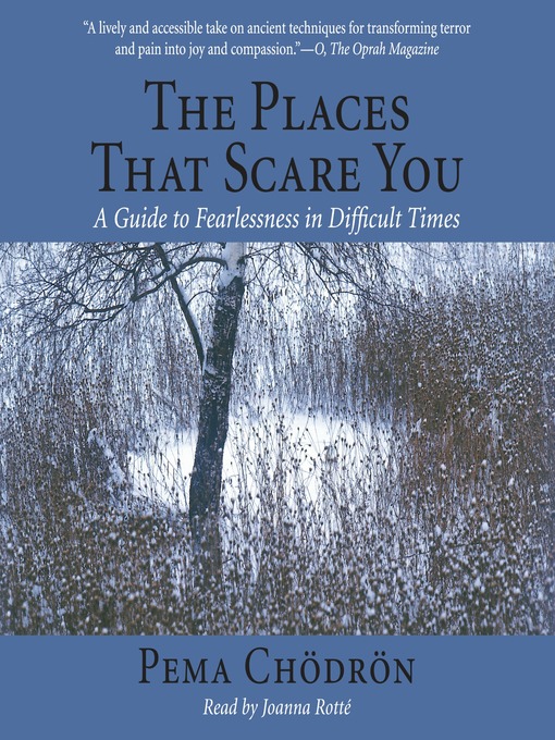 Cover image for The Places That Scare You